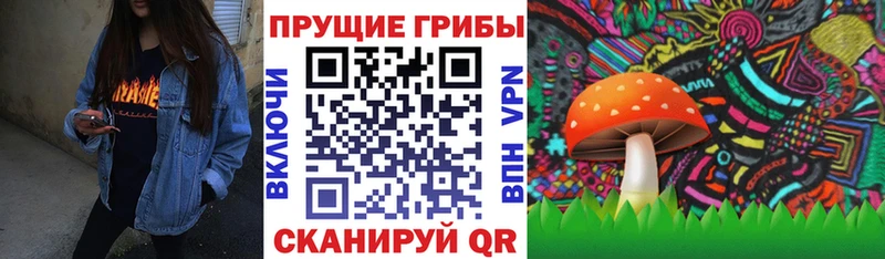 мориарти телеграм  Верхоянск  Галлюциногенные грибы прущие грибы  kraken ONION 